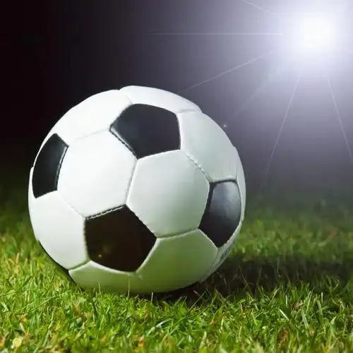 资深球迷追踪比赛